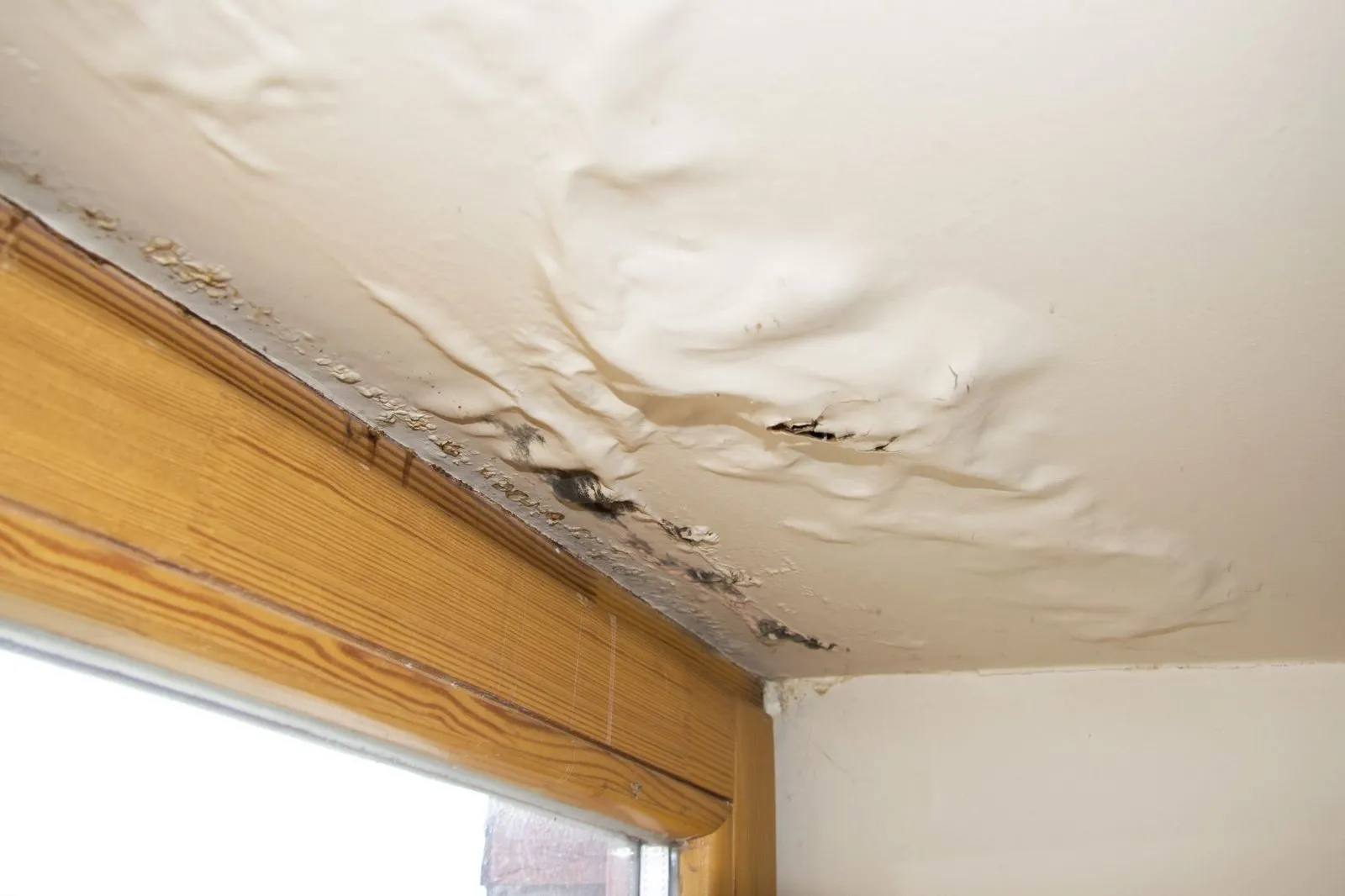 Severe water damage to ceiling near window, showing water stains and sagging plaster. Water ingress in strata property.